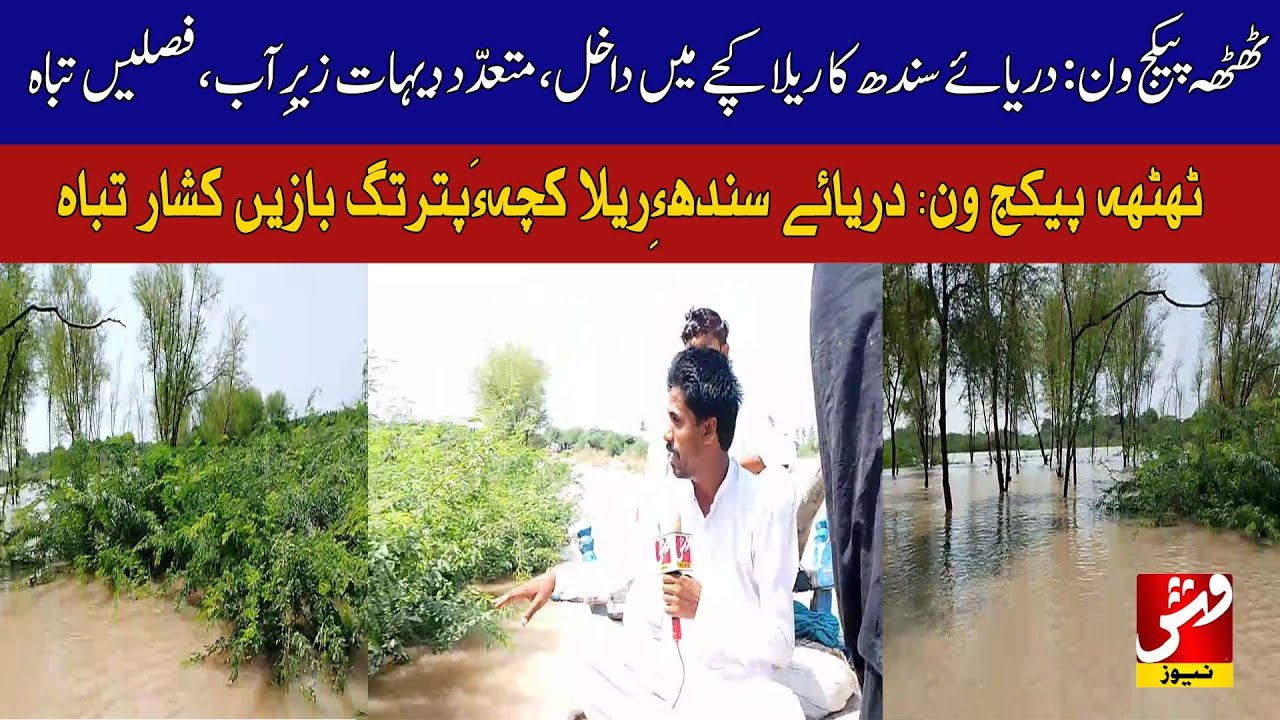 Thatta: Indus flood submerges villages, destroying crops in katcha area | Vsh News