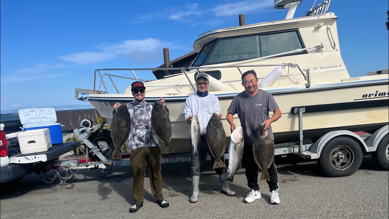 San Francisco Bay Halibut & Striper Fishing 2023 5/27/23 YouTube