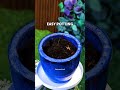 5 Genius Gardening Hacks That Actually Work 🌱🔥 | Must Try #Shorts