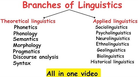 Branches of Linguistics|Introduction to linguistics #linguistics