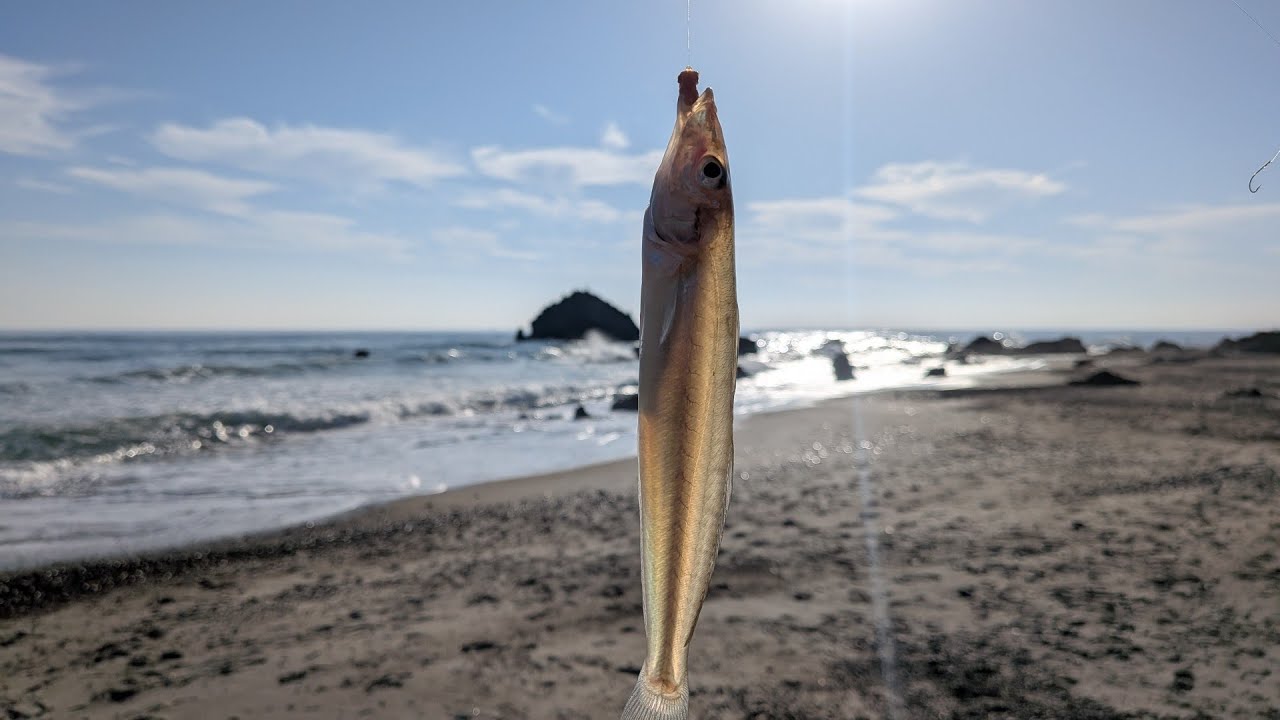 With reports of a great catch, we were able to relax and enjoy
