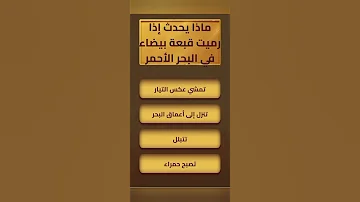 اختبر معلوماتك اكسبلور سؤال وجواب كلمات أسئلةعامة 
