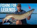 Bucket List Species - Fishing for Legends: Musky