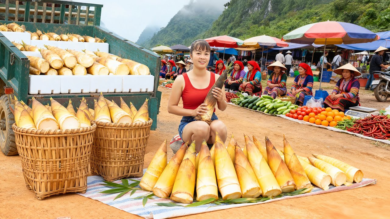 Harvesting Tons Of Bamboo Shoots, Use Truck Transport Many Bamboo Shoots Go To Market Sell