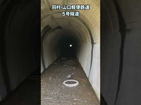 [武蔵村山市]羽村・山口軽便鉄道 ５号隧道 #都立中藤公園 #tokyo #travel #shorts