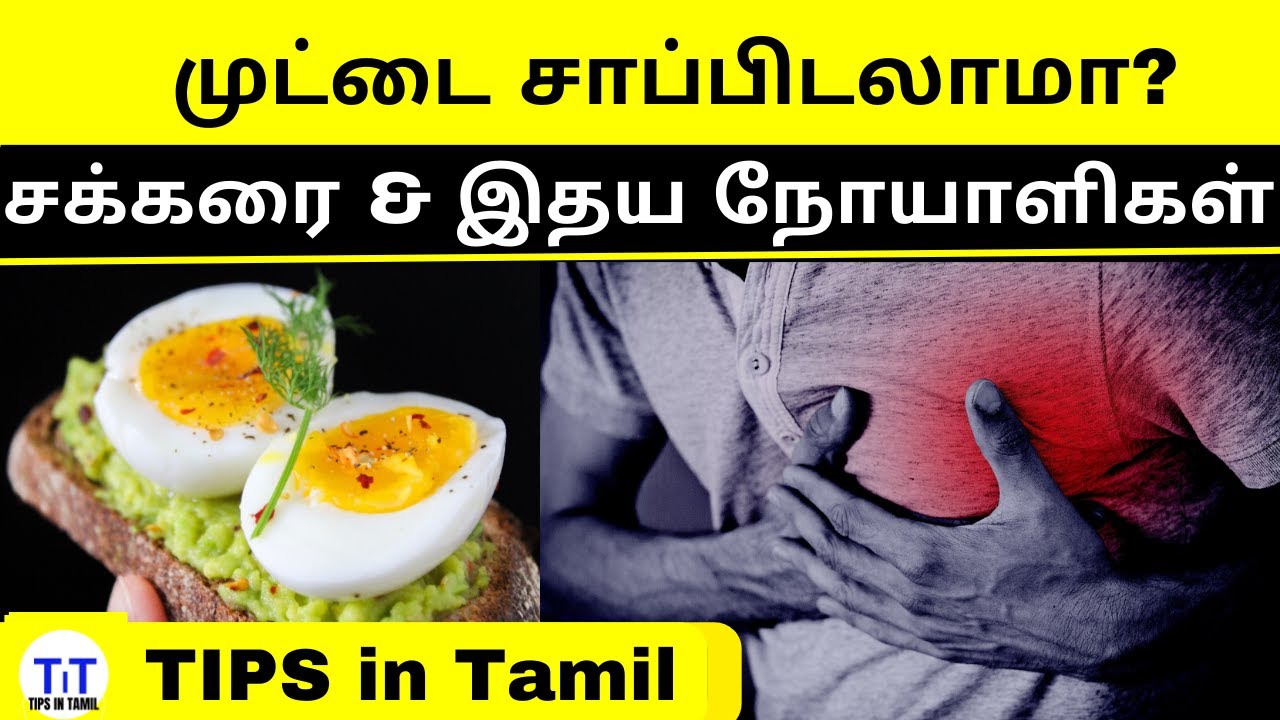 முட்டை சாப்பிடலாமா Eating boiled Egg cholesterol good or bad for health