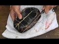 カメザリスープ(2016/6/23のワークショップ調理動画)