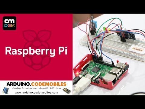 ติดตั้ง MariaDB (MySQL) Database on Raspberry Pi ตอนที่ 3