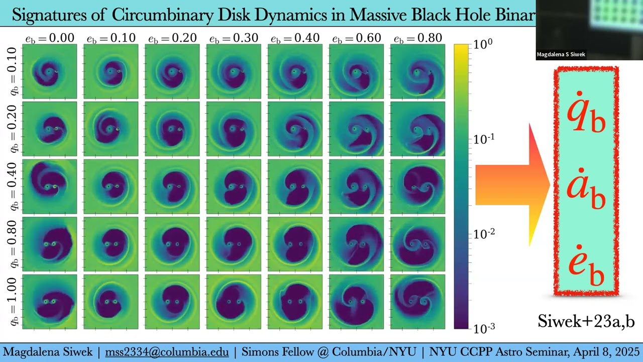 Astro Seminar - Signatures of Circumbinary Disk Dynamics in Astrophysical Binary Populations