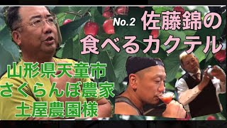 ⑲山形県天童産 さくらんぼ農家 土屋農園様のご紹介 No.2