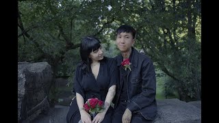 Cold hart - Birds (Legendado)