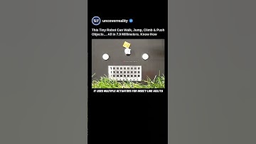 This Tiny Robot Can Walk, Jump, Climb & Push Objects All In 7.9 Millimetres. Know How #robot #shorts