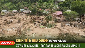 Bản tin kinh tế và tiêu dùng ngày 7/8: Bộ Công an sửa sang nhà cửa cho đồng bào vùng lũ Nghệ An|ANTV