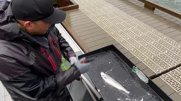 How to clean a Kokanee  VIP Outdoors