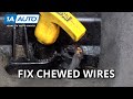 Wires Chewed or Broken in Your Car or Truck? Fix It the Right Way with a Replacement Connector Kit