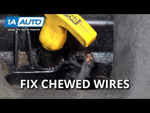 How To Repair Mouse Chewed Wires