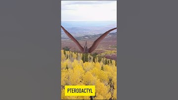 Pterodactyl | Dinosaurs | Dinosaur Sounds | Flying Dino