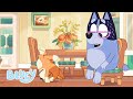 Bingo Tries To Handstand Season 2 Bluey