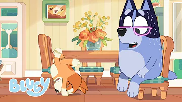 Bingo Tries to Handstand | Season 2 | Bluey