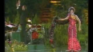 Watch Shirley Bassey Arthurs Theme Best That You Can Do video