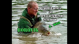 Kad Kapitalni Šarani Legnu Na Hranilišta, Borovik - Kapitalci Iz Potopljene Šume E-45 Vsp Pavičić