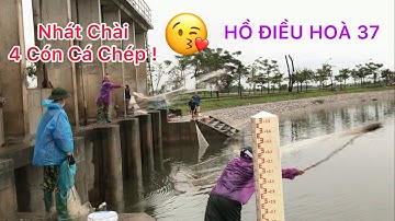 CHÀI CÁ CHÉP KHỦNG HƯNG HUGO