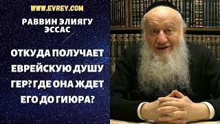 ОТКУДА ПОЛУЧАЕТ ЕВРЕЙСКУЮ ДУШУ ГЕР? ГДЕ ОНА ЖДЕТ ЕГО ДО ГИЮРА?