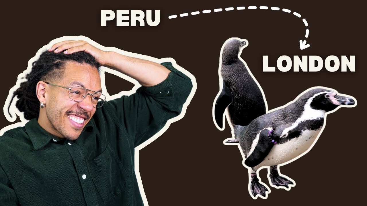 Animals SHOULD be in Zoos?!