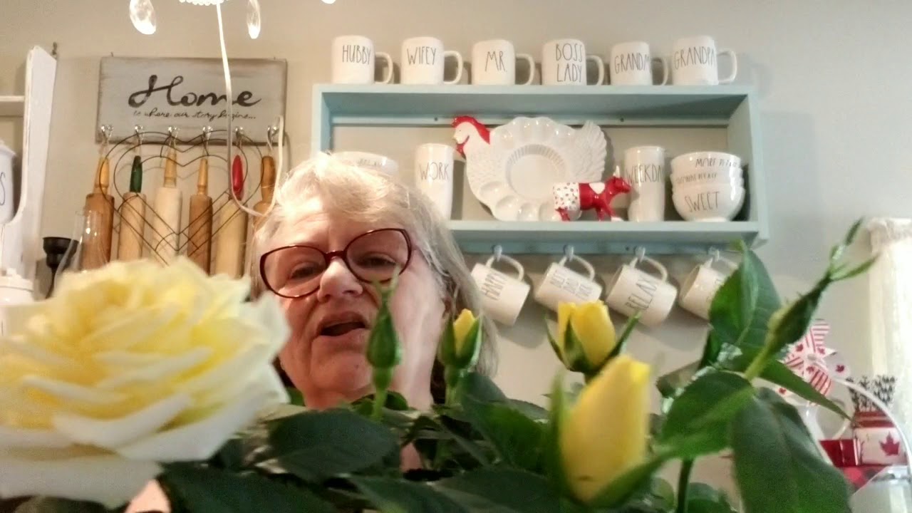 $5 Goodwill Challenge..Summer 2019