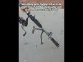 The Ultimate DIY Sand Spike For Beach Fishing