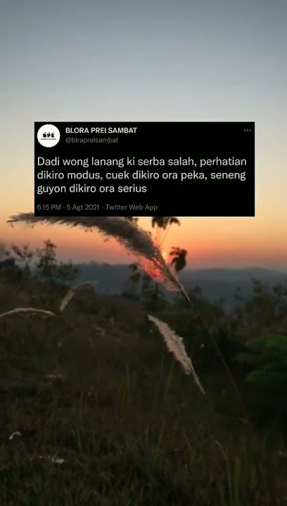 STORY WA || DADI WONG LANANG KI SERBA SALAH:)