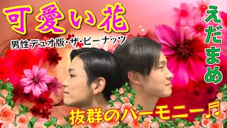 【抜群のハーモニー♬】可愛い花Petite Fleur・男性デュオ版・ザ ピーナッツ（水瀬団・田中けいと）cover