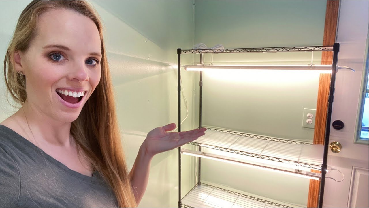 Amazon Grow Light Unboxing And Review! 🪴💡 YouTube