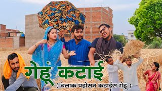 चल गेहूं कटाई - chal gehu katayi _ bagheli comedy video | Manish Patel Rewa