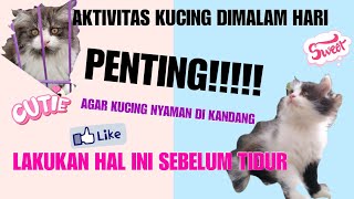 CARA AGAR KUCING BETAH DIKANDANG