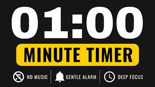 1 Minute Timer – Countdown Timer (GENTLE ALARM / NO MUSIC / MINIMAL)