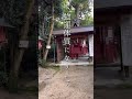 【龍神アファメーション】高龗神社（総本社）　大和神社摂社　『すべての望みは、叶います‼️ 』#shorts