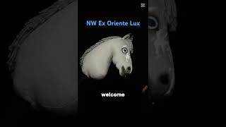 Dear ones, I bought a hobby horse from my dream stable — want an unboxing?🎁 #hobbyhorse #horse #hh