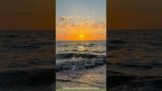 Flor E Neve, Sol, Mar, E Sol E Chuva...