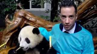 Dat was Valerio International, met een panda!