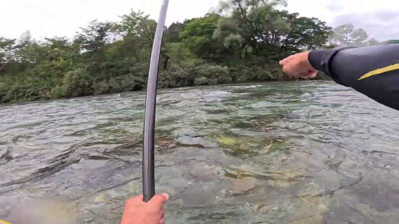 【鮎釣り2024】釣れるポイントを探し当てるには！板取川上流