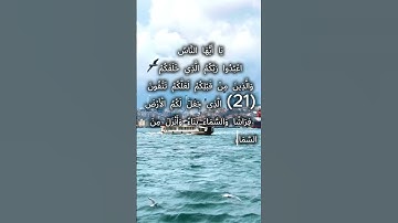 سوره البقره الشيخ فارس عباد #اكسبلور #المصحف #سورة #سورة_البقرة #الشيخ_فارس_عباد #قران #قران_كريم