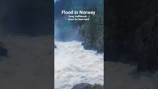 Flood in Vikersund Norway. #flood #norway #river #flom #video #clips