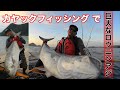 夢の巨大魚がカヤックで釣れた!