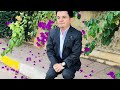 عمار كوفي تو نزاني عمار كوفي تو نزاني