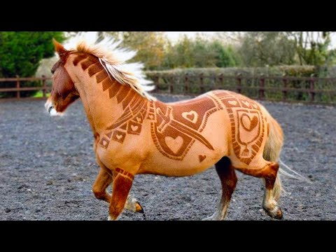 This Amazing Horse Looks Like Typical Horse Until He Turns His Head