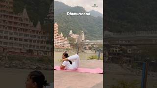 Dhanurasana  #yogaurmi #rishikesh #shorts #short #shortvideo #shortsfeed #ytshorts #urmiyogaacademy