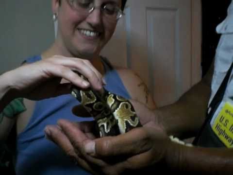Lil Kim's Spiders, Snakes GloZell and SK meet fans