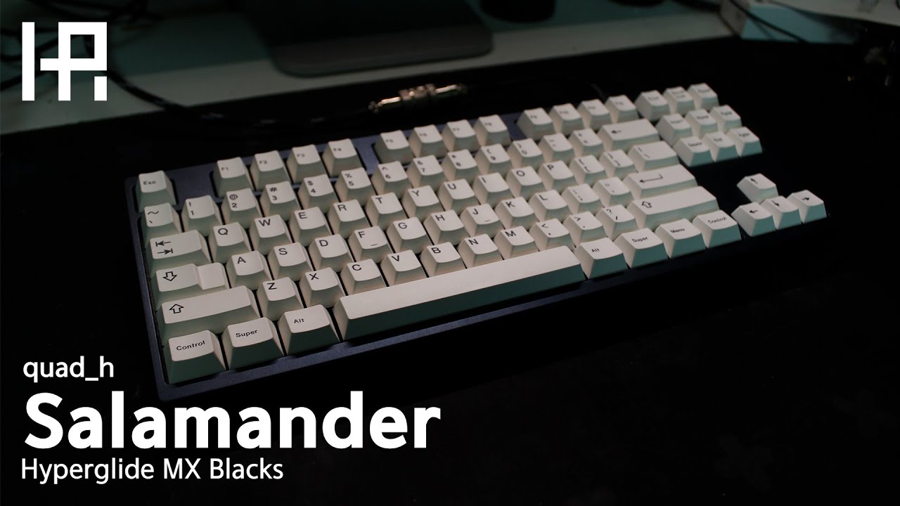 힝힝홍힝 샐러맨더(살라만더) 체리 흑축 타건