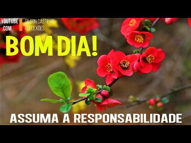 PALAVRA DO DIA/ Mensagem de Bom Dia /Assuma a Responsabilidade e Viva de  Forma Mais Consciente ! - YouTube